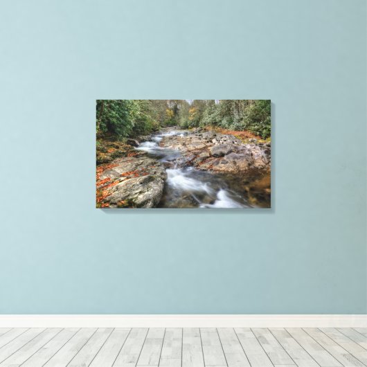 Boswaterval Canvas Afdruk (Insitu (Houten vloer))