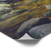 Boswaterval Poster (Hoek)