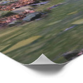 Boswaterval Poster (Hoek)