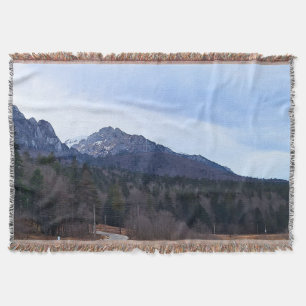 Bosweg Schitterend Landschap Wilde Natuur Roemenië Deken