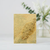 bot briefkaart (Staand voorkant)