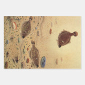 bot- en zeeboten inpakpapier vel (Voorkant 3)