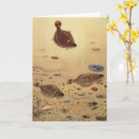  bot- en zeeboten kaart (Gele Bloem)