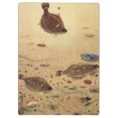 bot- en zeeboten klembord (Achterkant)