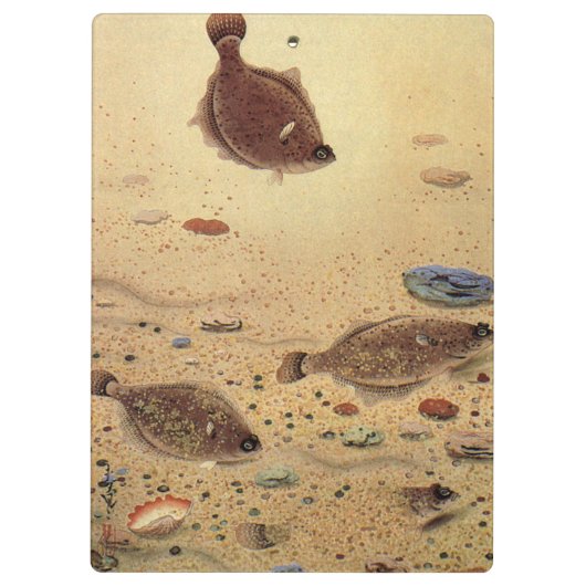 bot- en zeeboten klembord (Achterkant)