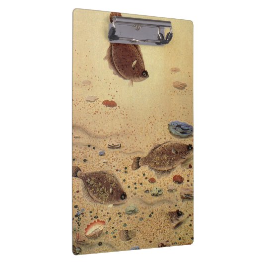  bot- en zeeboten klembord (Rechts)