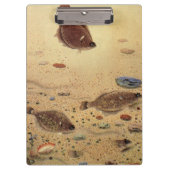 bot- en zeeboten klembord (Voorkant)