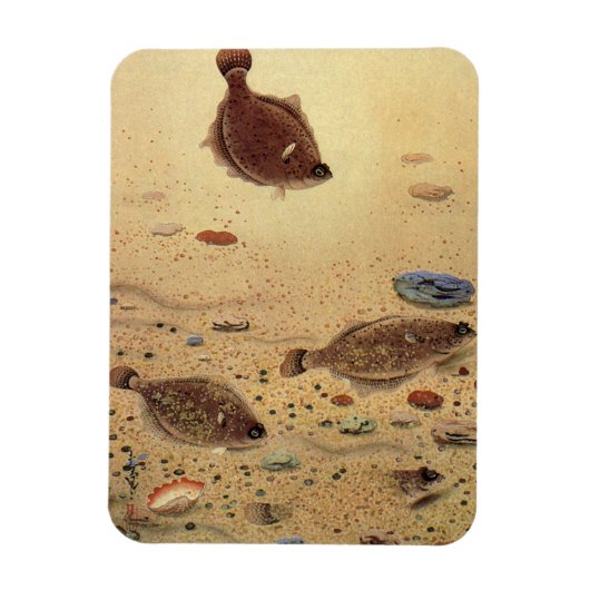  bot- en zeeboten magneet (Verticaal)