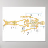 Bot Poster (Voorkant)