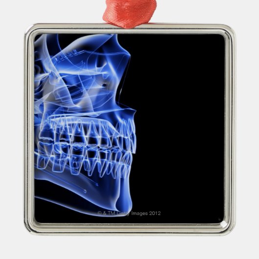 Bot van de Jaw Metalen Ornament (Voorkant)