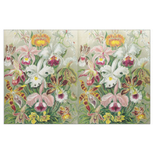 Botancal Orchid Flowers Floral Haeckel Fabric Stof