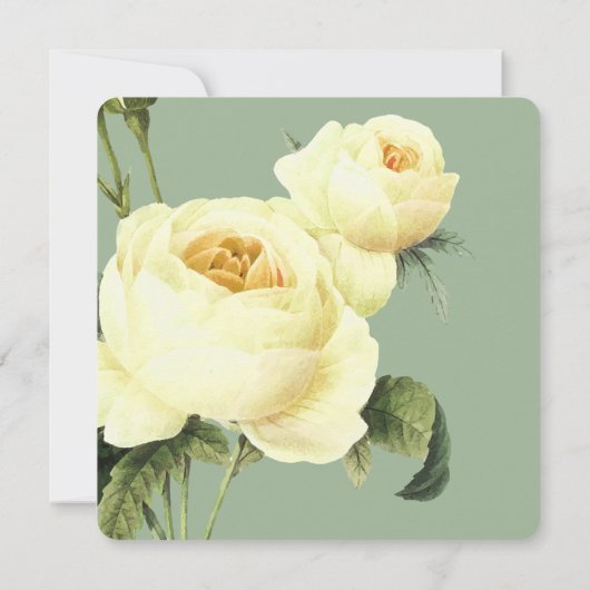 Botanica | Sage Yellow roos Weddenschap Kaart (Achterkant)