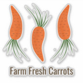 Botanical Carrots Collection  Sticker (Voorkant)
