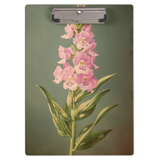 Botanical Flower Illustration Elegant Floral Desig Klembord