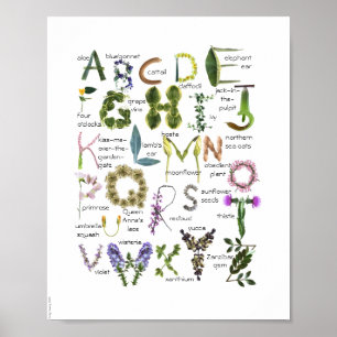 Botanical Flowers Alphabet Baby Nursery Poster -