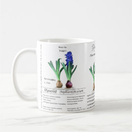 Botanical mug Hyacinth in my garden. Koffiemok