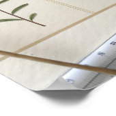 Botanical Scientific Plate Poster (Hoek)