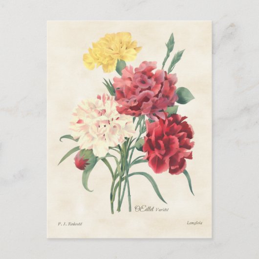 Botanical Vintage Briefkaart (Voorkant)