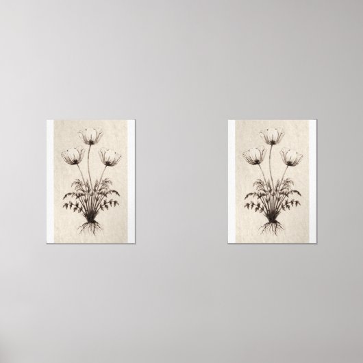 Botanical Wall Art for Living Room (Recto)