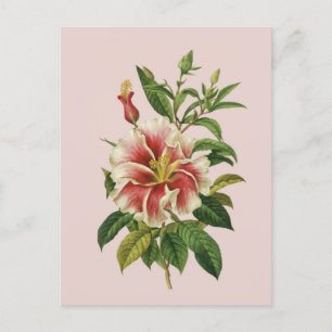 Botanicals Flower Modern Art II Poster Feestdagenkaart