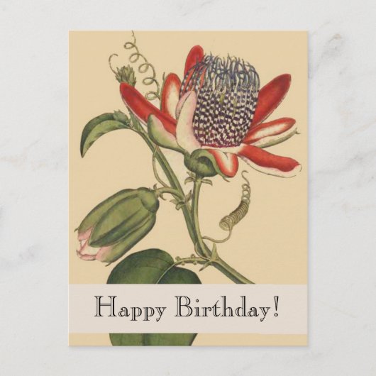  Botanicals Happy Birthday Briefkaart (Voorkant)