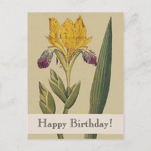  Botanicals Iris Happy Birthday Briefkaart