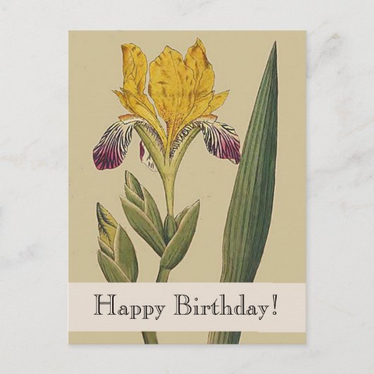  Botanicals Iris Happy Birthday Briefkaart (Voorkant)