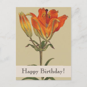 Botanicals Lily Happy Birthday Briefkaart