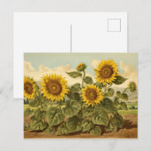 Botanicals Zonnebloementuin Briefkaart (Voorkant / Achterkant)