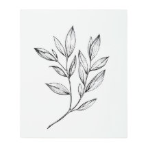 Botanique Agritourisme Chambre