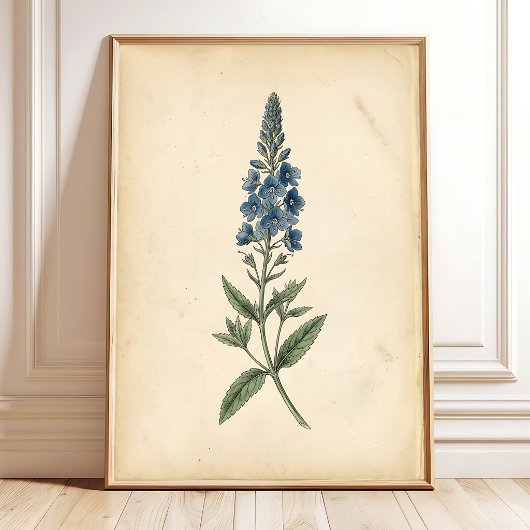 Botanique Speedwell Art Mural Vintage