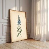 Botanique Speedwell Art Mural Vintage