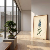 Botanique Speedwell Art Mural Vintage