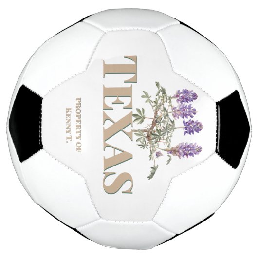 Botanique Texas Bluebonnet 2 (Tourné)