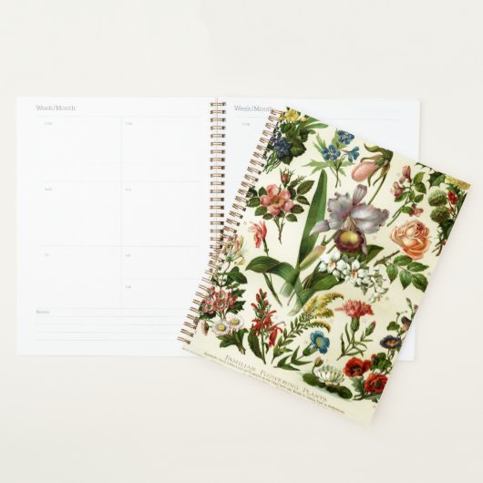 Botaniques de fleurs (Devant avec enveloppe)