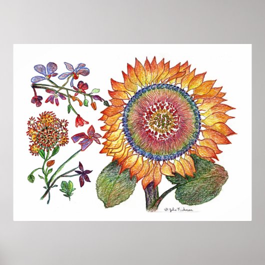 botanisch46 poster (Voorkant)