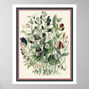 botanisch afdrukken 16 x 20 poster