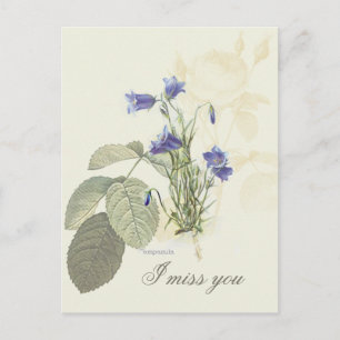 Botanisch Blauwe Campanula 1 Briefkaart