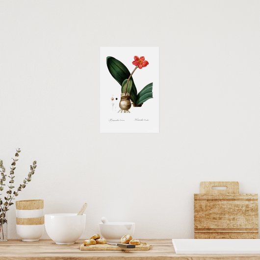 BOTANISCH BLOED LILY POSTER (Keuken)