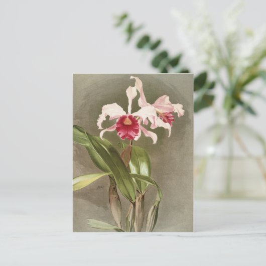  Botanisch Briefkaart (Staand voorkant)