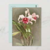  Botanisch Briefkaart (Voorkant / Achterkant)