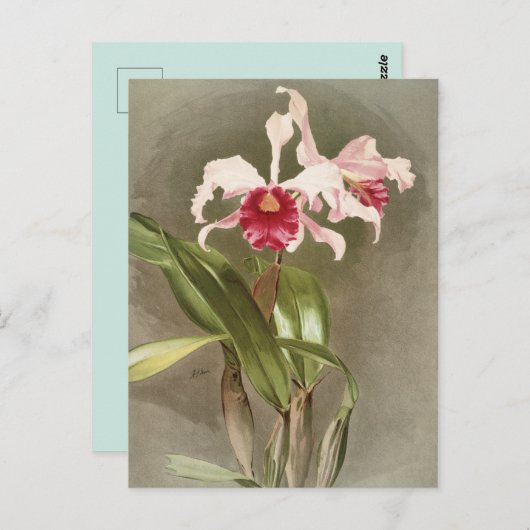 Botanisch Briefkaart (Voorkant / Achterkant)