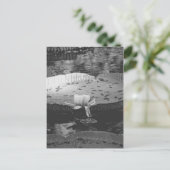 Botanisch Briefkaart (Staand voorkant)