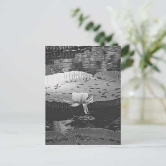 Botanisch Briefkaart (Staand voorkant)