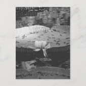 Botanisch Briefkaart (Voorkant)