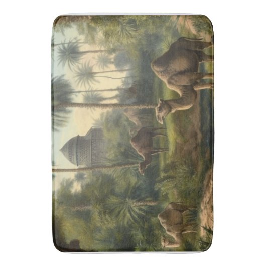 Botanisch: dromedarissen in het oerwoud bij een ri badmat (Voorkant Verticaal)