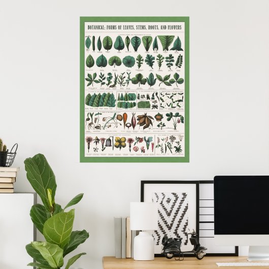 Botanisch educatief Poster (Thuiskantoor)