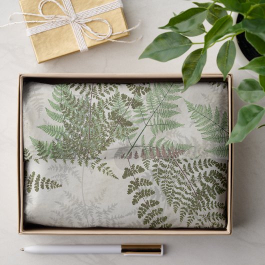 botanisch fern-papier tissuepapier (Geschenk)