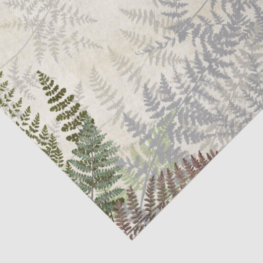 botanisch fern-papier tissuepapier (Detail)