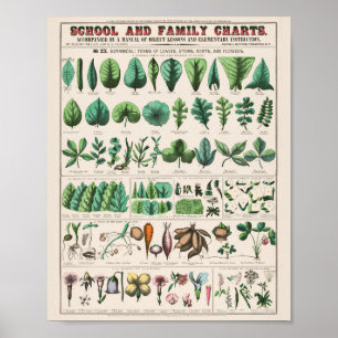 Botanisch: formulier Poster